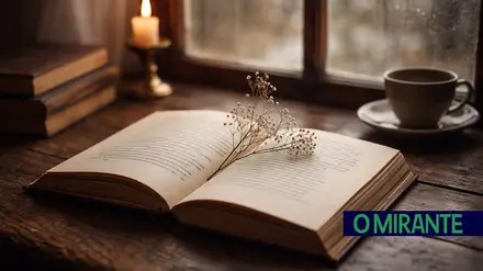 poesia literatura livro