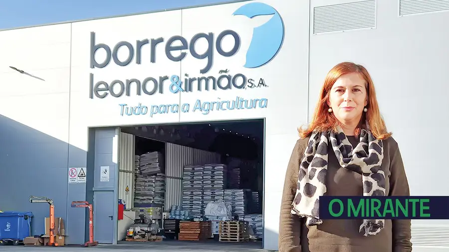 Ana Carvalho, a administrativa que faz a engrenagem girar na Borrego Leonor & Irmão