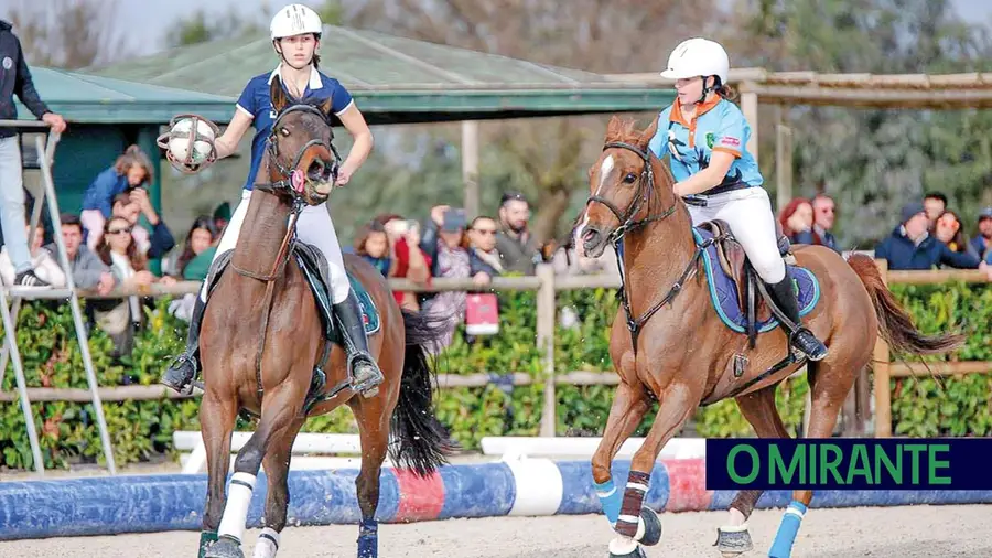 O Centro de Alto Rendimento de Desportos Equestres – Hippos