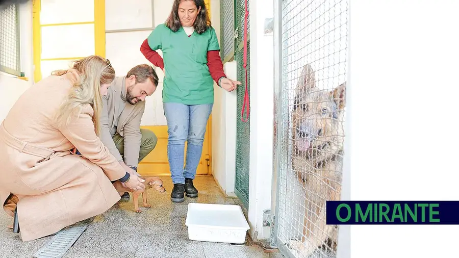 O CROAS – Centro de Recolha Oficial de Animais de Santarém