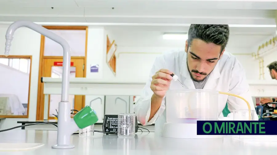 Desigualdades no acesso à educação são problema por resolver em vários concelhos da região