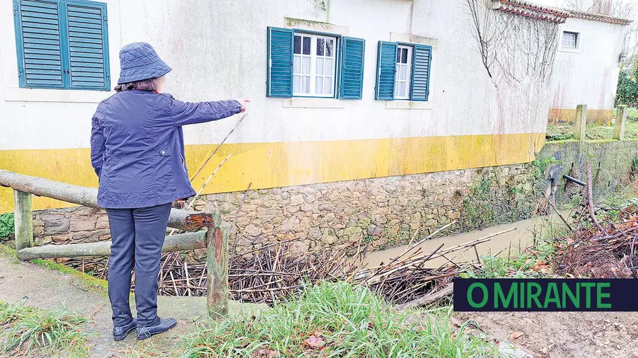 Canas entaladas em ponte ameaçam habitação de Dina Maria Ferreira