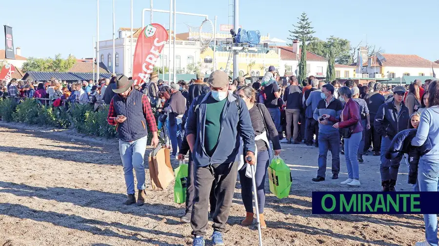 Caso dos tiros durante a Feira do Cavalo termina com duas absolvições