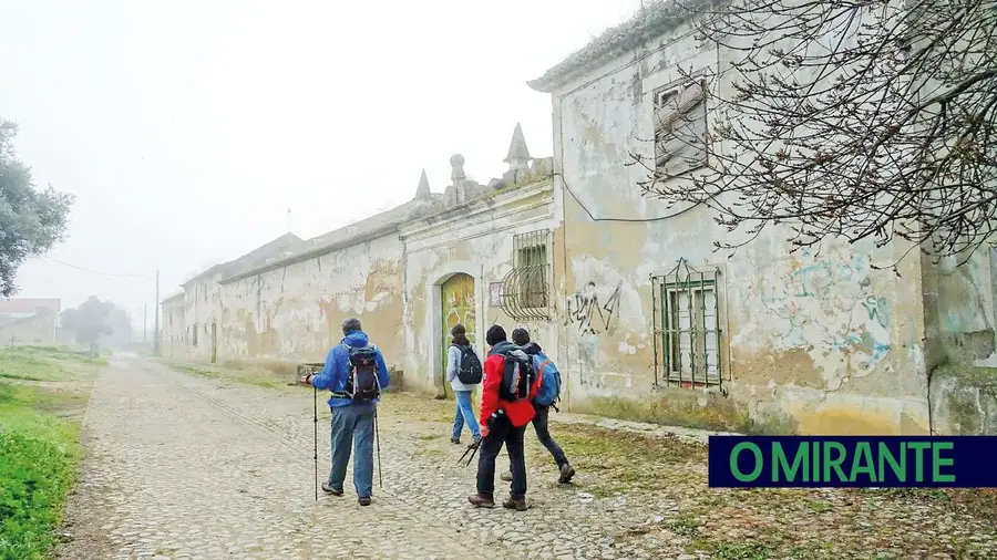 Queda do império imobiliário de Luís Filipe Vieira trava mega-urbanização em Alverca