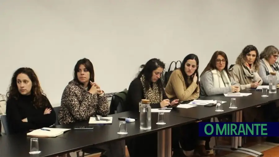 Projecto MARIA junta municípios para reforçar apoio às vítimas de violência doméstica