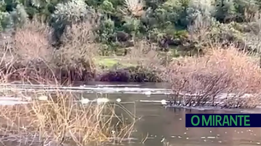 Rio Tejo ontem na Barca da Amieira