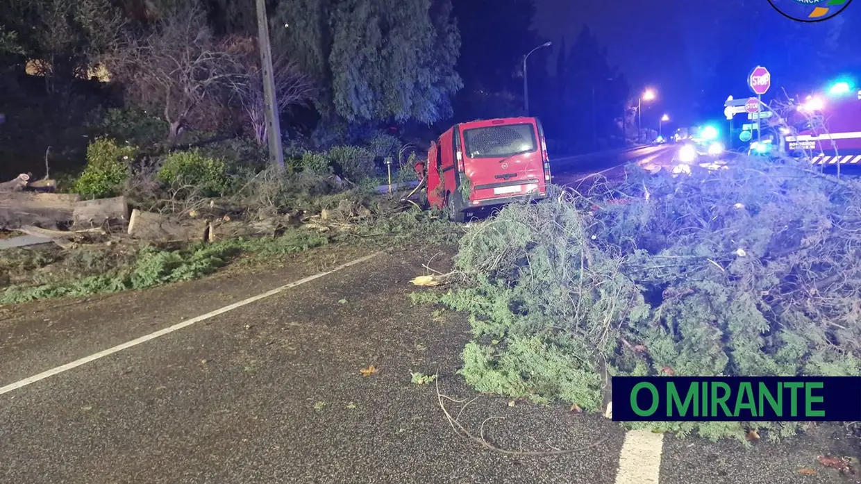 Depressão Kristin provoca 73 ocorrências no concelho de Vila Franca de Xira e uma vítima mortal