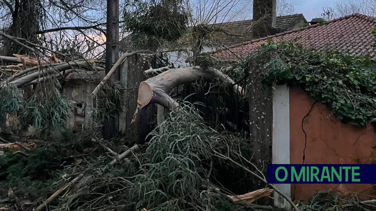 Mau tempo deixa rasto de quedas de árvores, falhas eléctricas e escolas encerradas em Alenquer