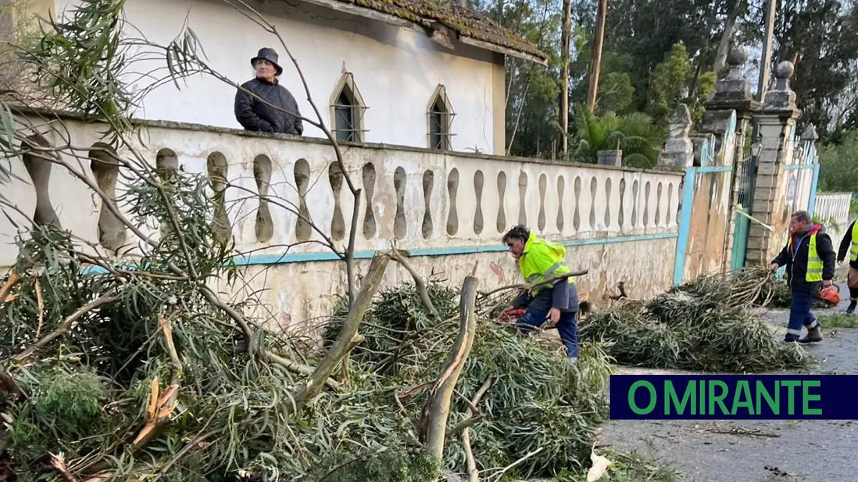Mau tempo deixa rasto de quedas de árvores, falhas eléctricas e escolas encerradas em Alenquer