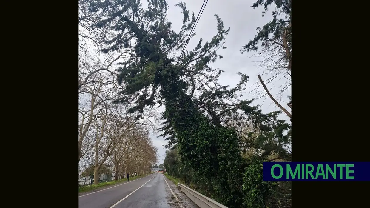 Depressão Kristin provoca 73 ocorrências no concelho de Vila Franca de Xira e uma vítima mortal