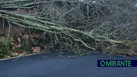 Ferreira do Zêzere quer estado de calamidade após rasto de destruição