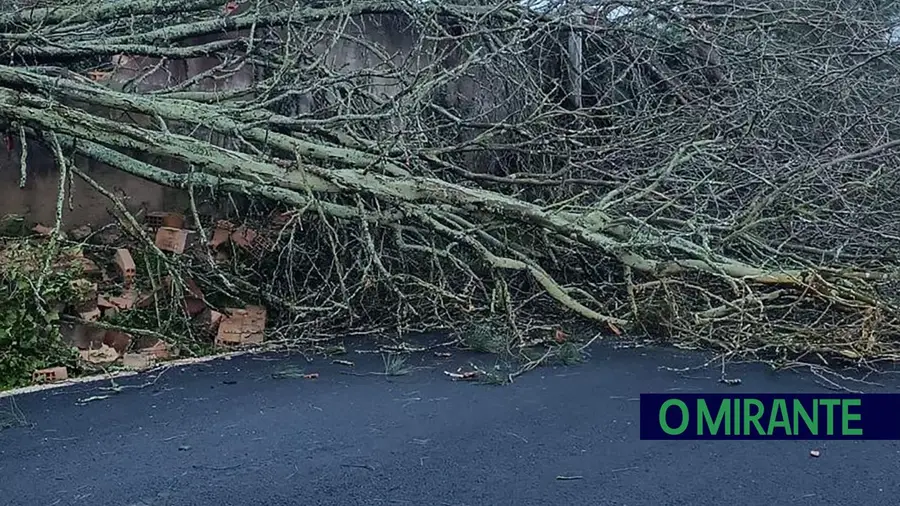Ferreira do Zêzere quer estado de calamidade após rasto de destruição