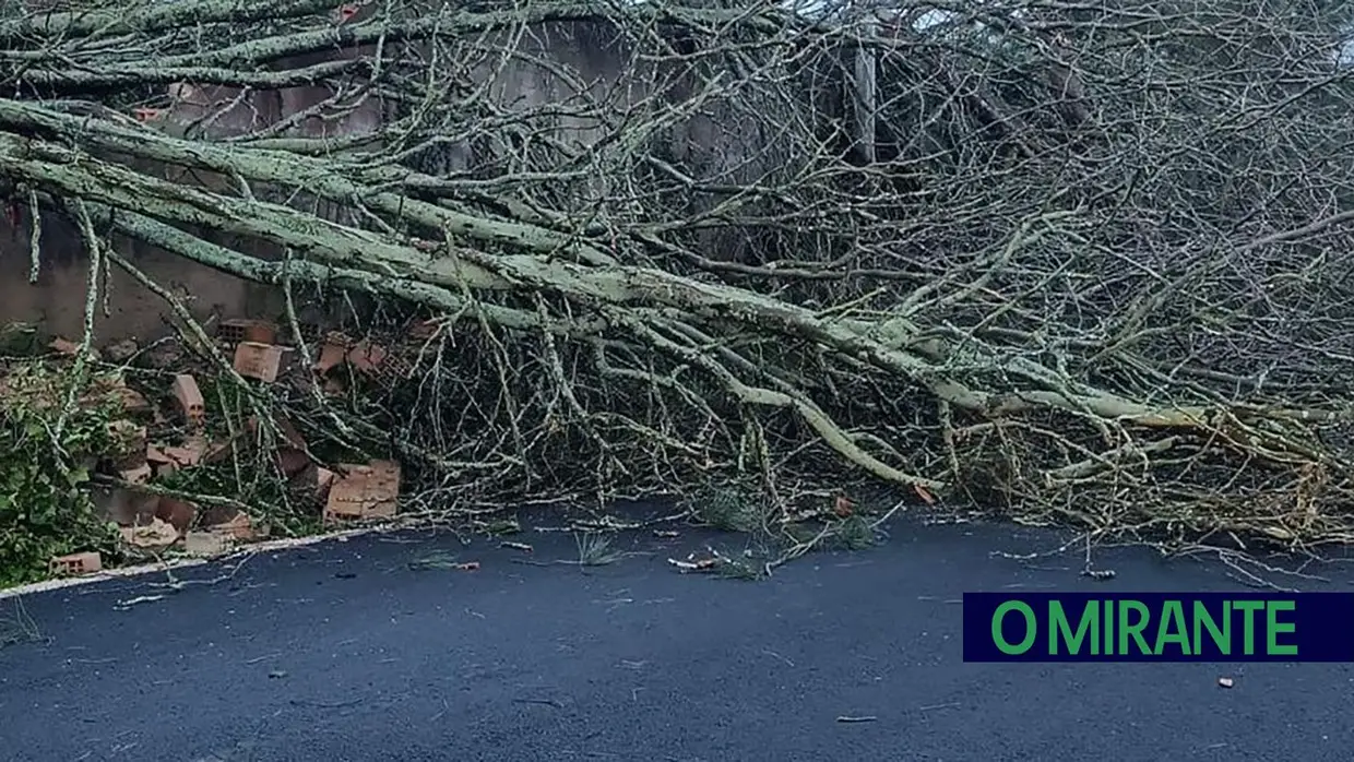 Madrugada trágica em toda a região por causa da depressão Kristin