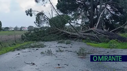 Quando a tempestade passa fica o retrato da falta de prevenção