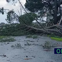 Quando a tempestade passa fica o retrato da falta de prevenção