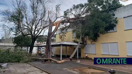 Depressão Kristin provoca 73 ocorrências no concelho de Vila Franca de Xira e uma vítima mortal