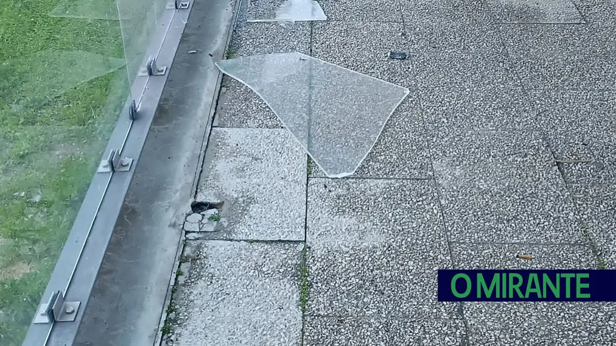 Depressão Kristin no Cartaxo: árvores caídas, campos arrasados e sinais derrubados