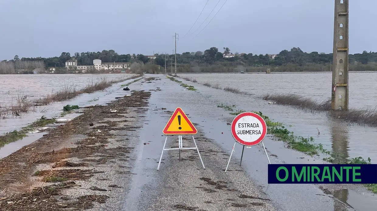 Depressão Kristin no Cartaxo: árvores caídas, campos arrasados e sinais derrubados