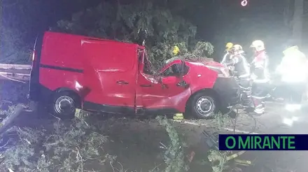 Um morto em queda de árvore em cima de carro em Vila Franca de Xira