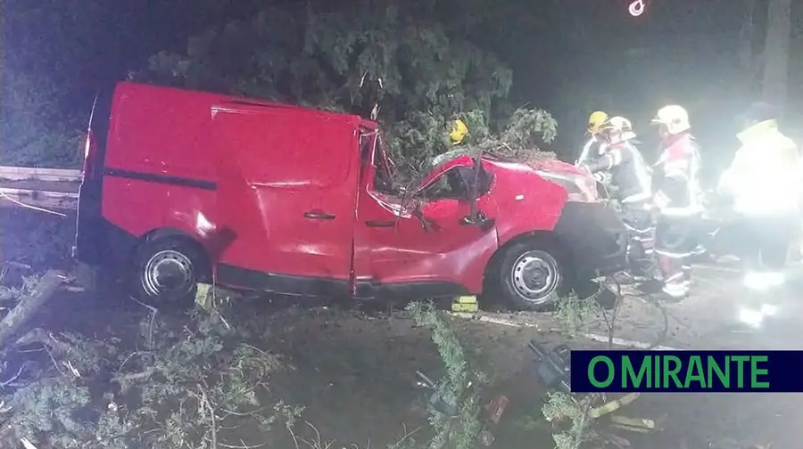 Um morto em queda de árvore em cima de carro em Vila Franca de Xira