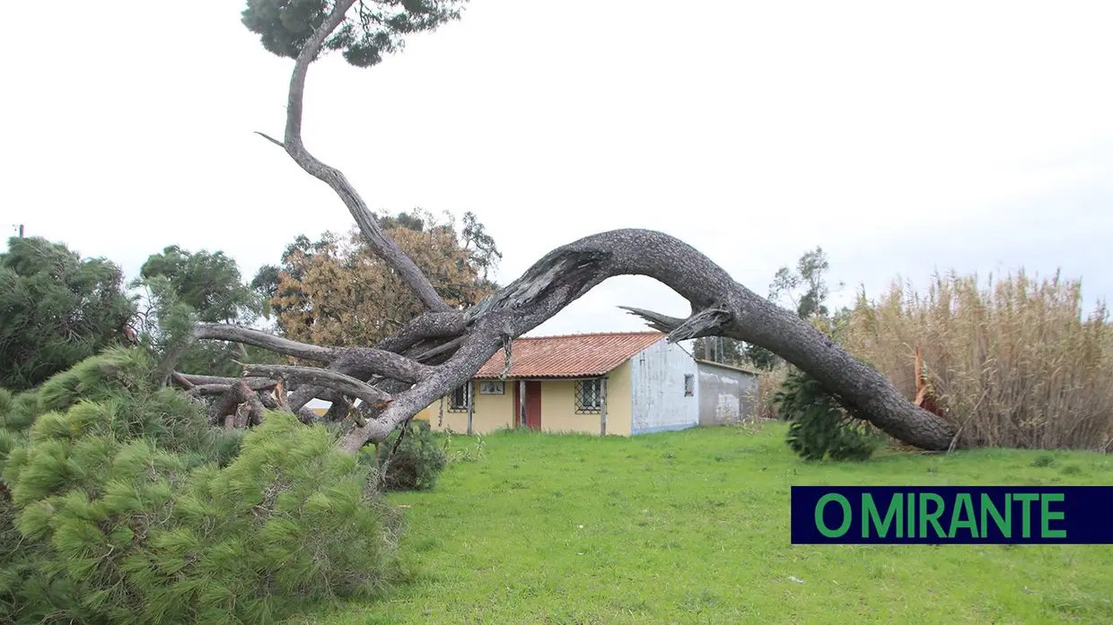 Depressão Kristin deixa rasto de caos em Tomar