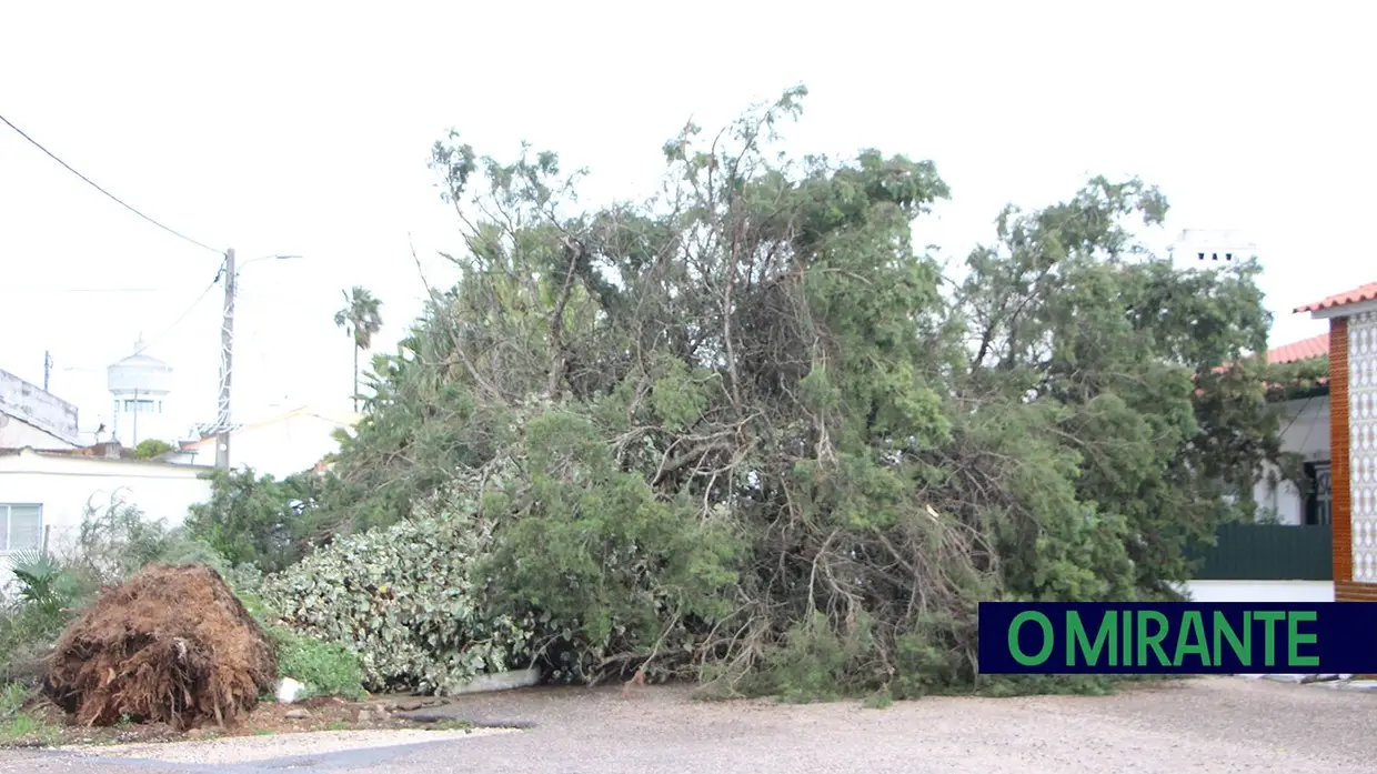 Madrugada trágica em toda a região por causa da depressão Kristin