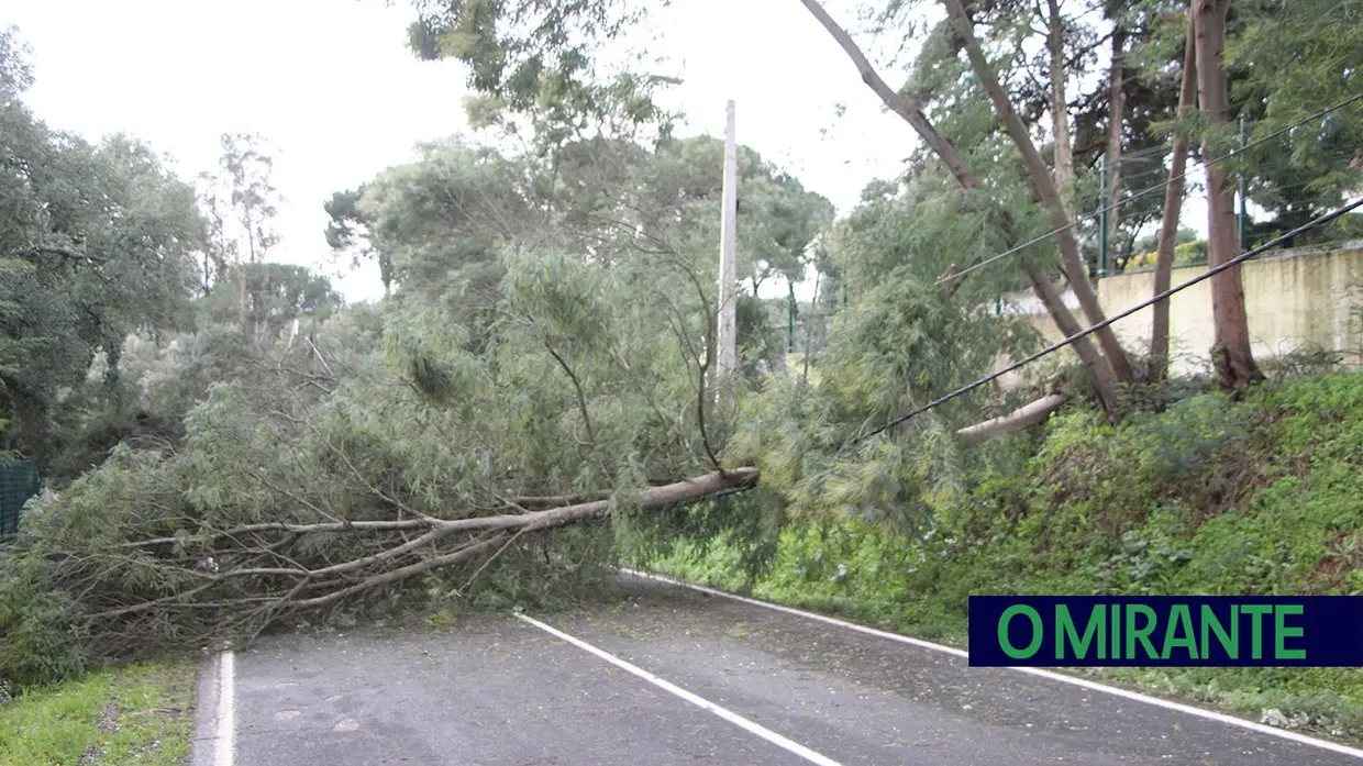 Depressão Kristin deixa rasto de caos em Tomar