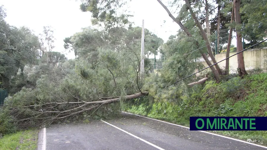 Entroncamento resolve 95% das ocorrências após a depressão Kristin