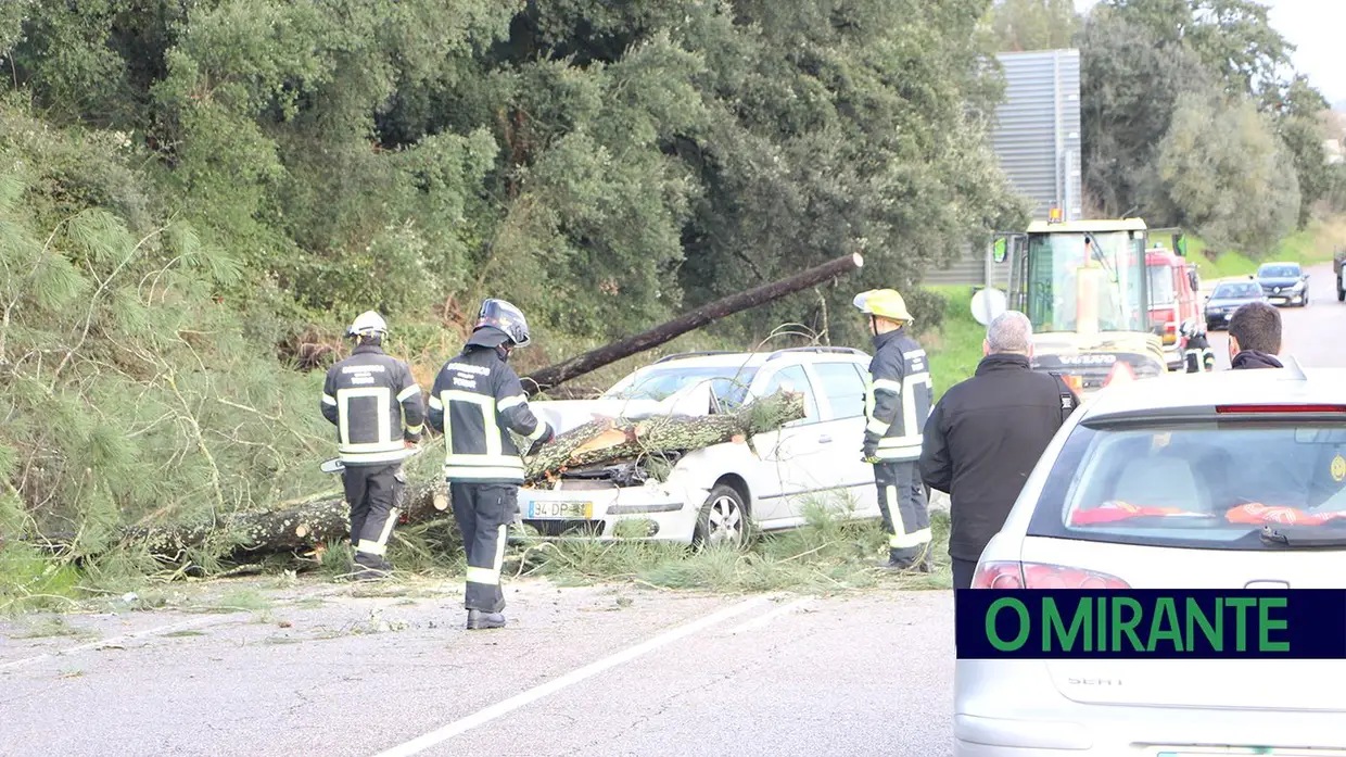 Depressão Kristin deixa rasto de caos em Tomar