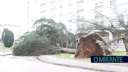 CCDR LVT avança para levantamento de prejuízos em 23 municípios