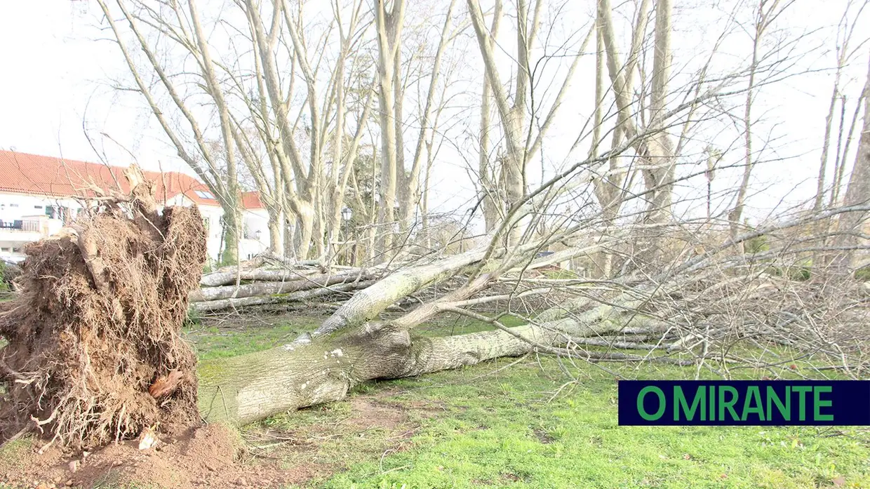 Madrugada trágica em toda a região por causa da depressão Kristin