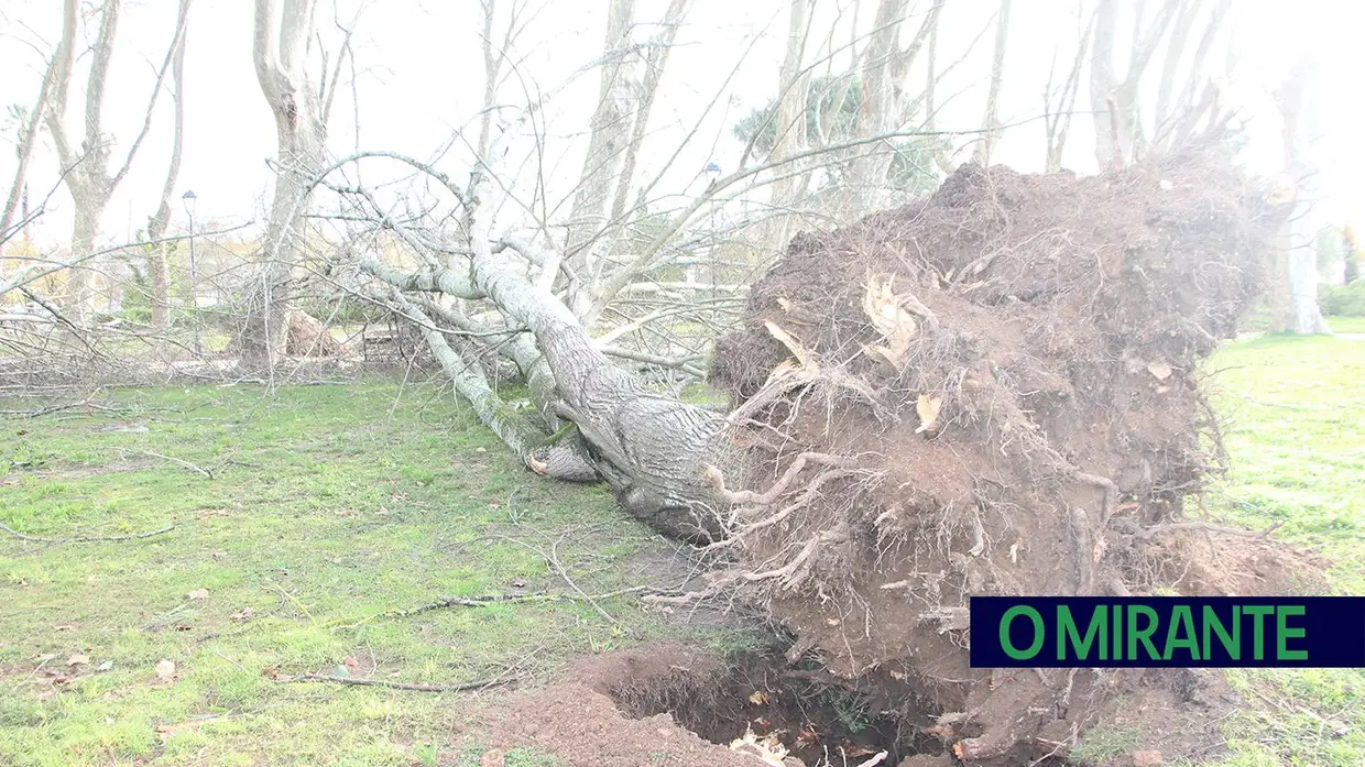 Depressão Kristin deixa rasto de caos em Tomar