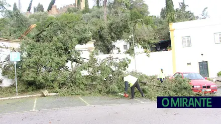 Depressão Kristin deixa rasto de caos em Tomar