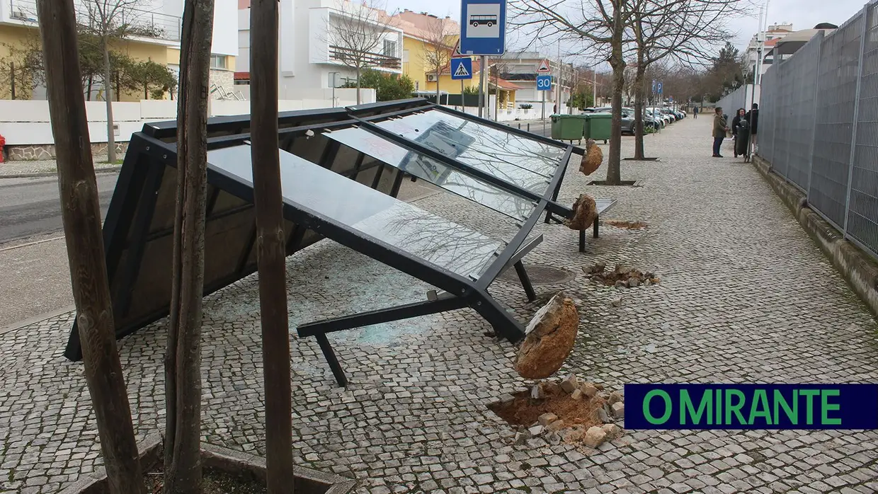 Mais imagens dos efeitos da Depressão Kristin em Tomar 