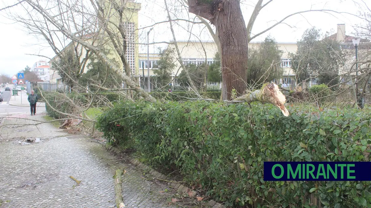 Mais imagens dos efeitos da Depressão Kristin em Tomar 