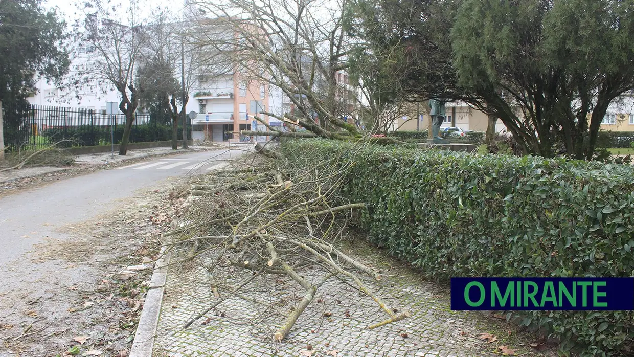 Mais imagens dos efeitos da Depressão Kristin em Tomar 