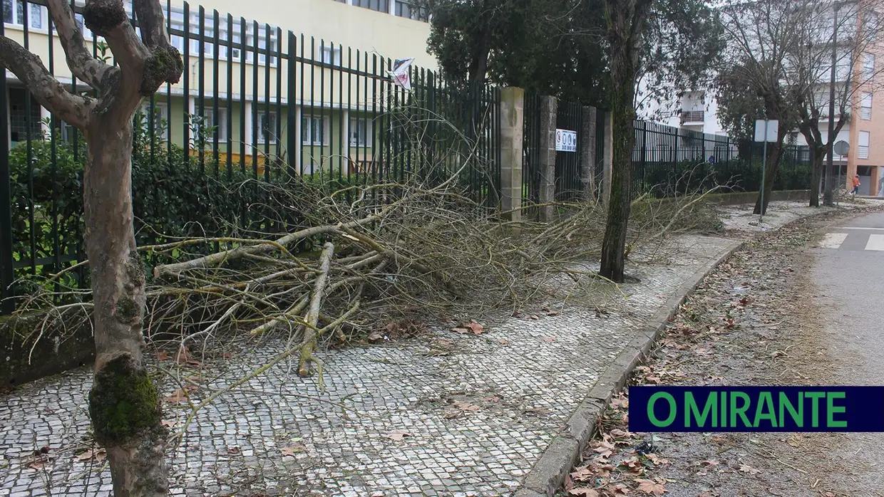 Mais imagens dos efeitos da Depressão Kristin em Tomar 