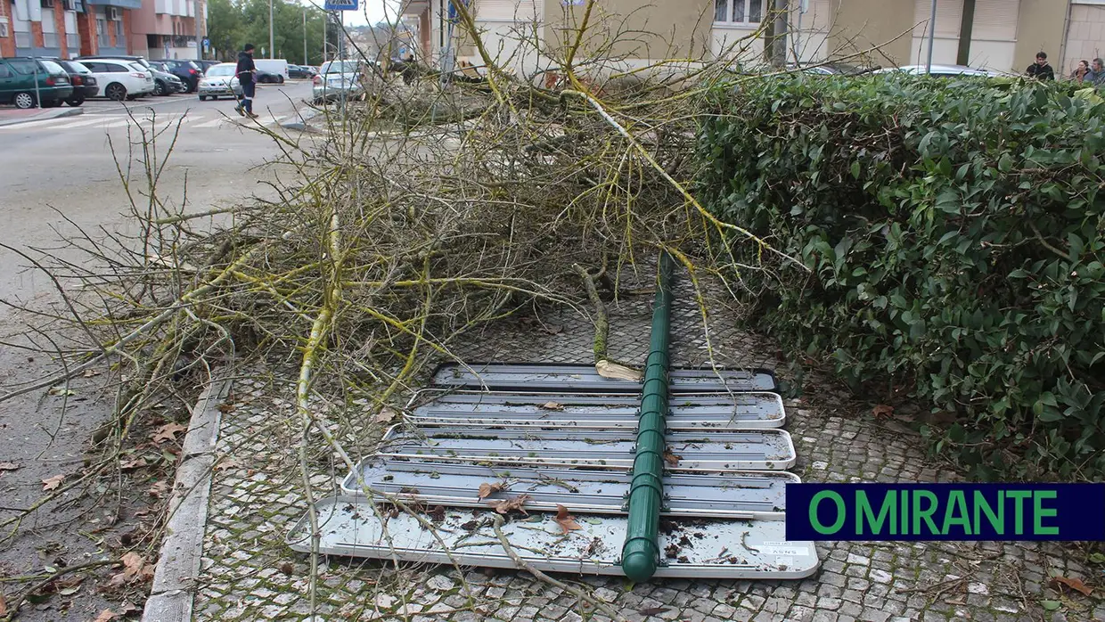 Mais imagens dos efeitos da Depressão Kristin em Tomar 