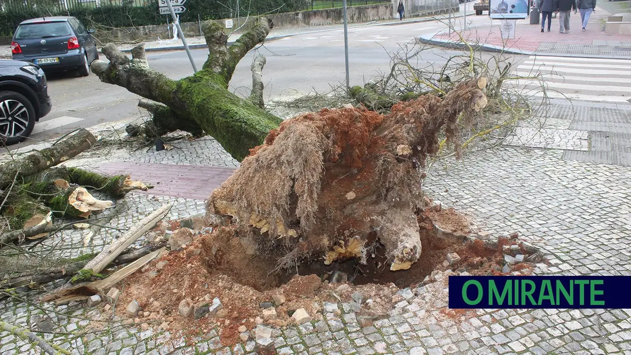 Mais imagens dos efeitos da Depressão Kristin em Tomar 