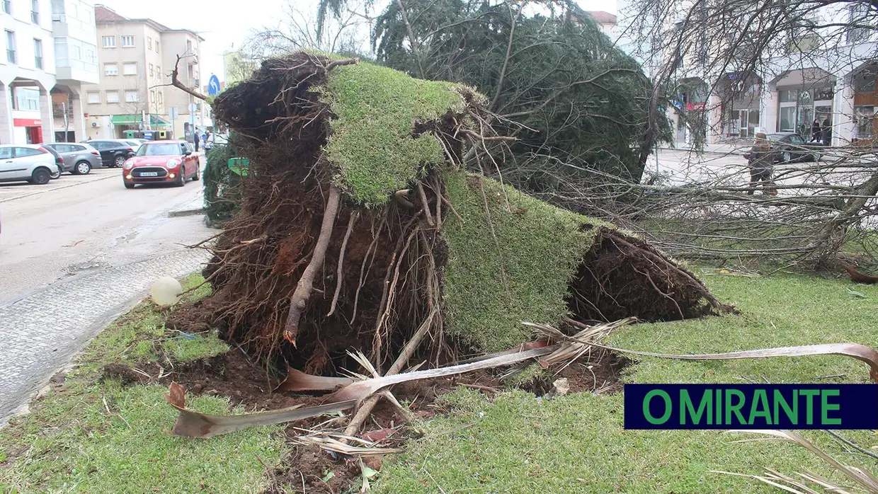 Mais imagens dos efeitos da Depressão Kristin em Tomar 