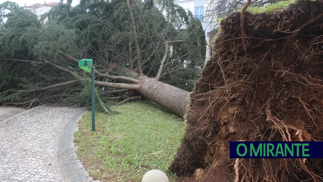 Mais imagens dos efeitos da Depressão Kristin em Tomar 