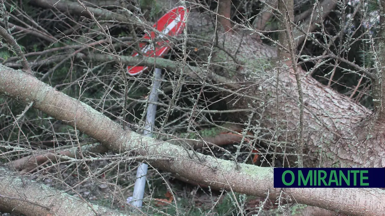 Mais imagens dos efeitos da Depressão Kristin em Tomar 