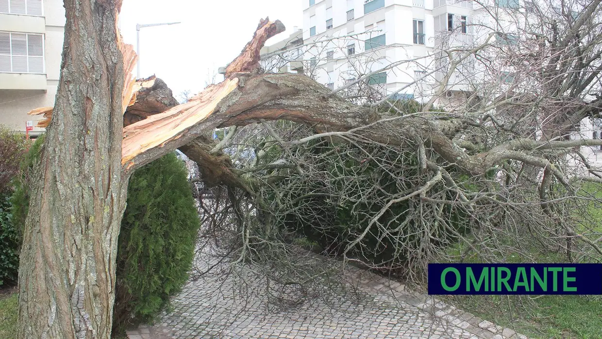 Mais imagens dos efeitos da Depressão Kristin em Tomar 