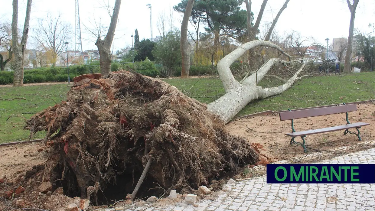 Mais imagens dos efeitos da Depressão Kristin em Tomar 