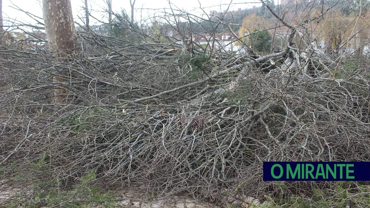 Mais imagens dos efeitos da Depressão Kristin em Tomar 