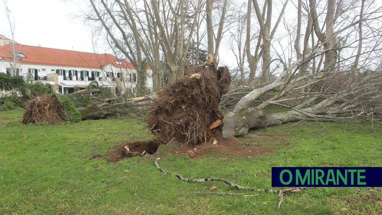 Mais imagens dos efeitos da Depressão Kristin em Tomar 