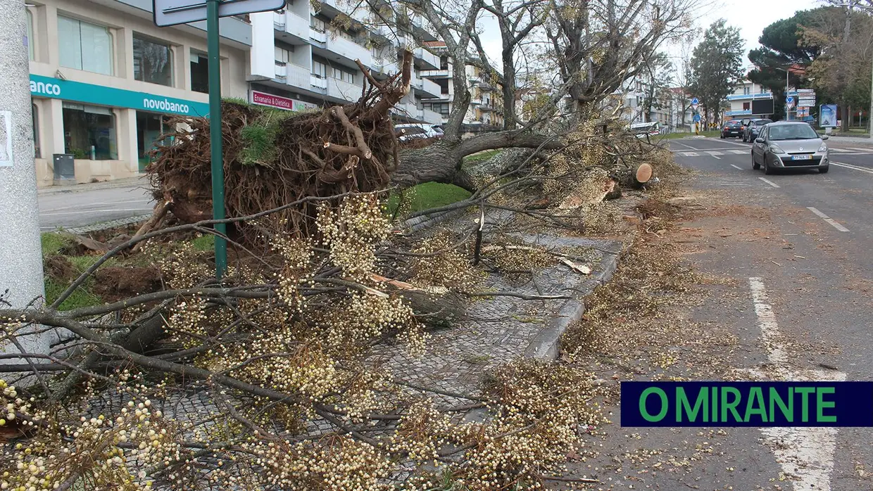 Mais imagens dos efeitos da Depressão Kristin em Tomar 