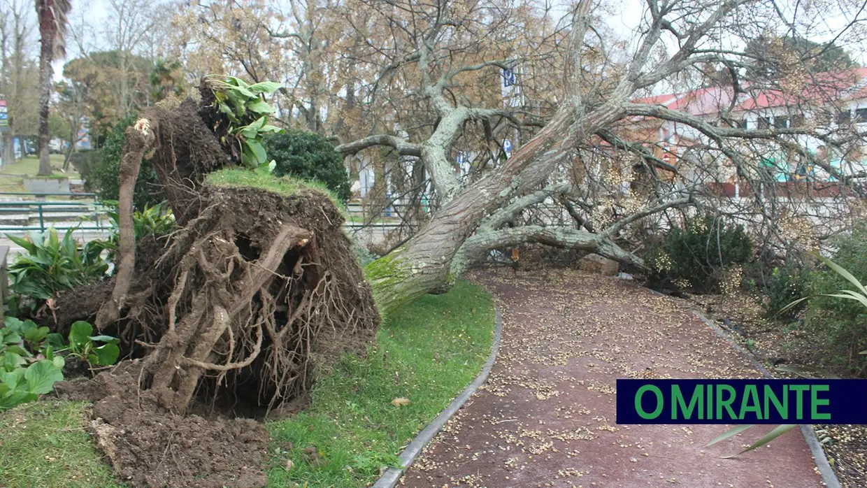 Mais imagens dos efeitos da Depressão Kristin em Tomar 
