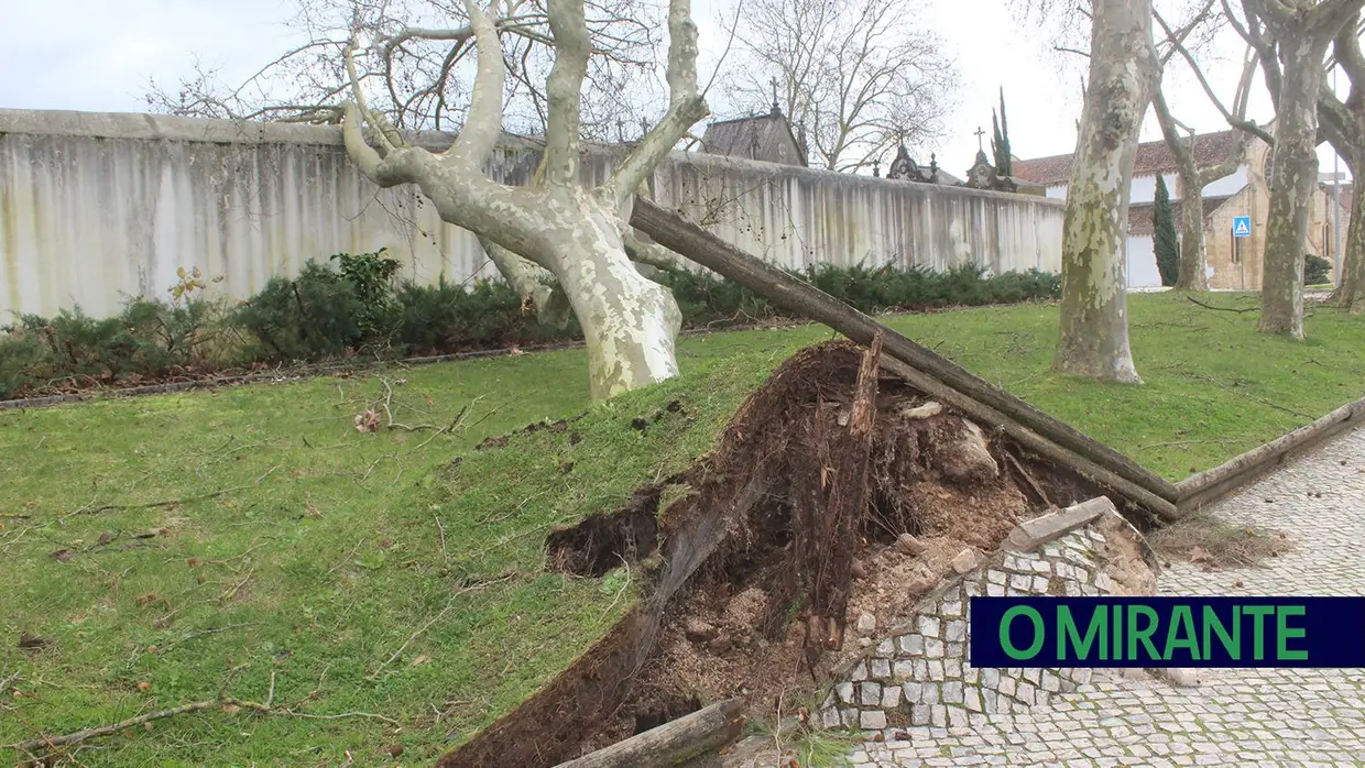 Mais imagens dos efeitos da Depressão Kristin em Tomar 