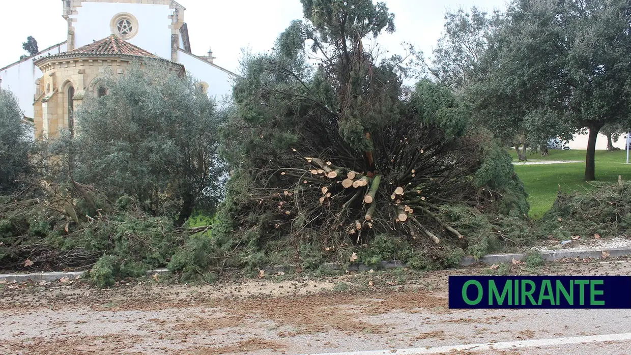 Mais imagens dos efeitos da Depressão Kristin em Tomar 